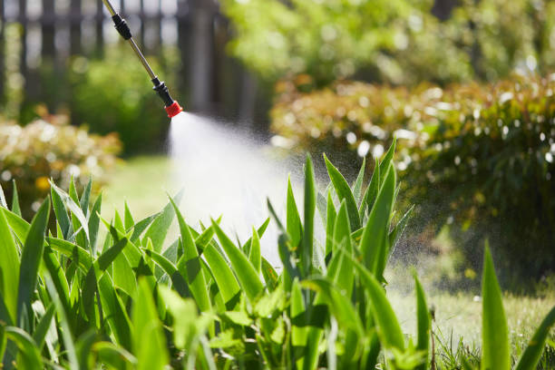 24/7 Emergency Mosquito Control experts in Tipton, CA